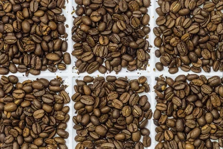 Comportamiento del café