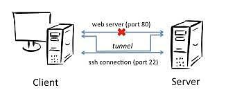Servicios mas utilizados