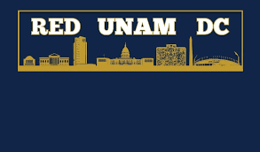 Red UNAM (PIXELnet se convirtió en la primera empresa comercial que dispuso de un servidor conectado a Internet).