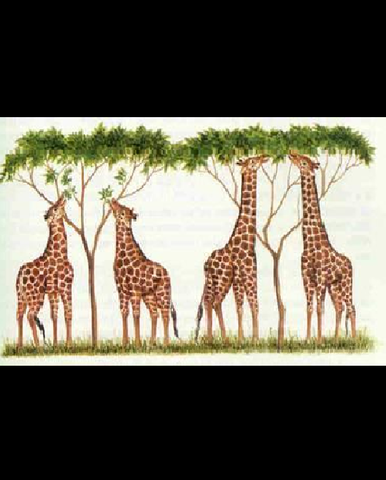 El origen de las especies