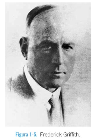 Frederick Griffith