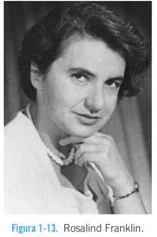 Rosalind Franklin
