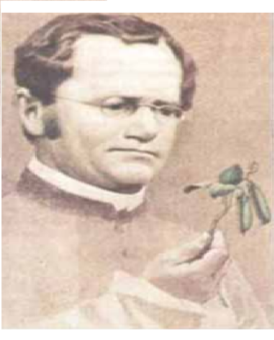 Leyes de la herencia