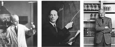 Avery, MacLeod y McCarty