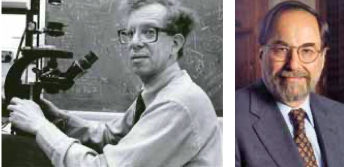 Howard Martin Temin Y David Baltimore