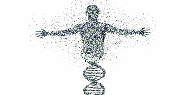 Proyecto del genoma humano