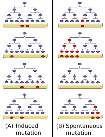 Premio Nobel de Fisiología 1963