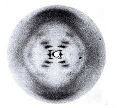 Rosalind Franklin