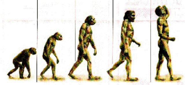 Theory of Evolution
