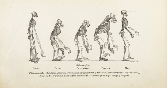 Darwinian Revolution