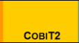 COBIT2