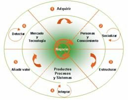 MODELO DINÁMICO DE ROTACIÓN DEL CONOCIMIENTO