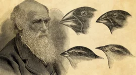 Timeline: Week 3 - Timeline 1 - Charles Darwin