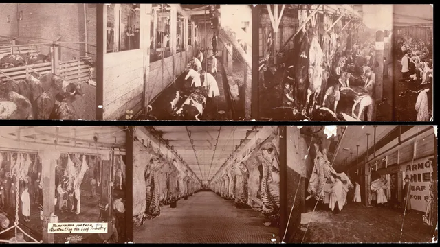 The Jungle and food processing regulations