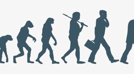 Timeline: EVOLUCIÓN DEL HOMBRE