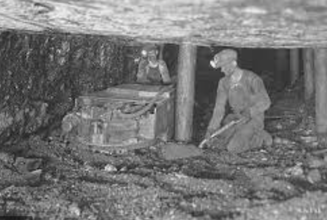 Fundación Drummond Ltd.