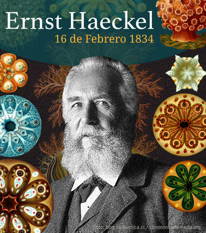 Ernst Haeckel