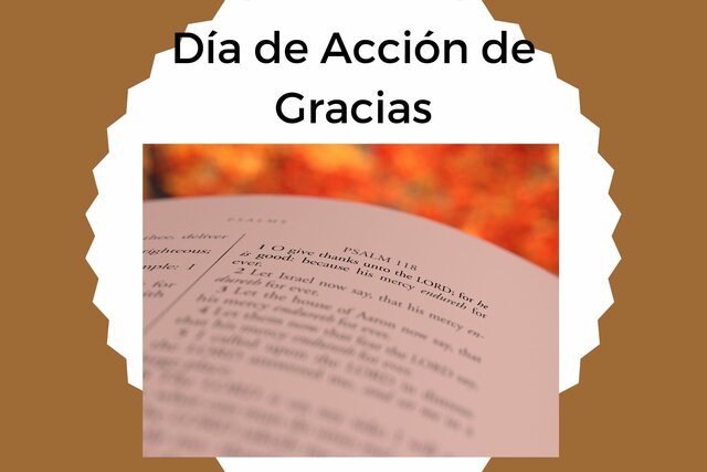 Día de Acción de Gracias