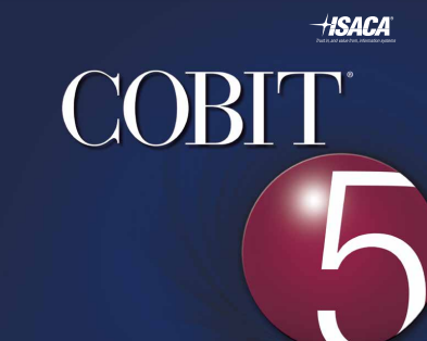 Cobit, 2007