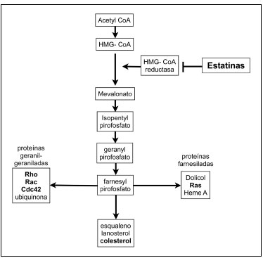 EXITOSO EFECTO ANTITUMORAL DE LA SIMVASTATINA