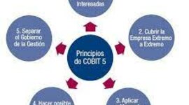 Timeline: COBIT Framework