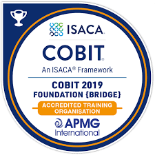 Componentes COBIT 19