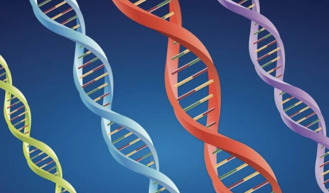 Primer modelo de la molécula del ADN