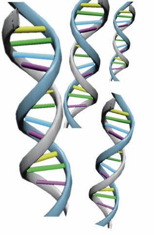 Proyecto genoma humano