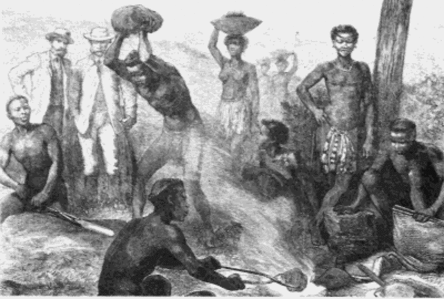 Introduciendo a los esclavos negros a América.