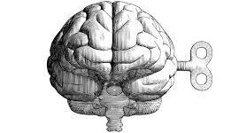 Timeline: Antecedentes, desarrollo y consolidación de la psicología cognitiva: un análisis histórico