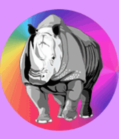 Rhinoceros Theatre evolves