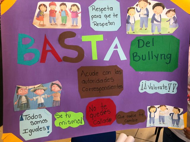 Proyecto de Intervención docente.