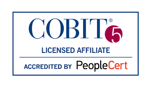 Nacimiento del COBIT