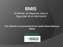 BMIS -COBIT 4