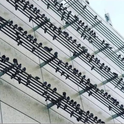 Timeline: Amin - Ένα παιδί από το Ιράν γεμάτο όνειρα