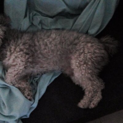 Timeline: Golpe militar