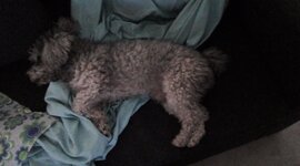 Timeline: Golpe militar