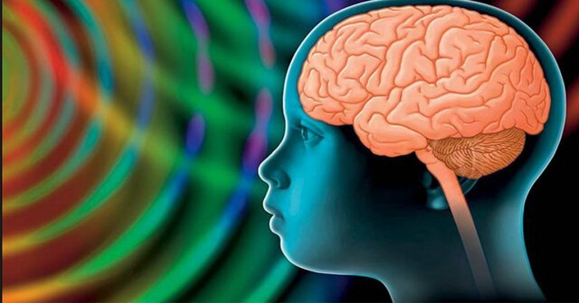 Deuxième âge du cerveau (0-12 ans)