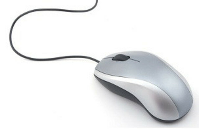 Ratón o Mouse (Entrada)