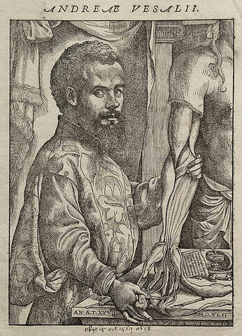 Andrés Vesalius (1543)