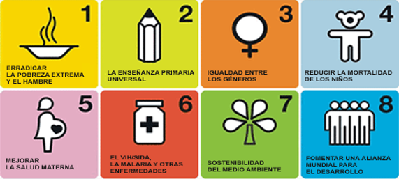 Objetivos de desarrollo del milenio de la ONU