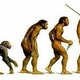 Evolucion del hombre