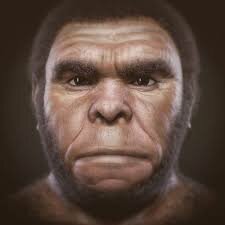 Homo rhodesiensis