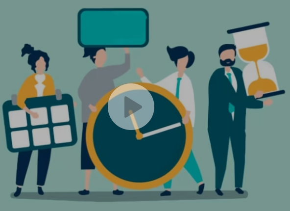 Organización y planificación con definición de tareas y plazos. Asignación de responsabilidad individual