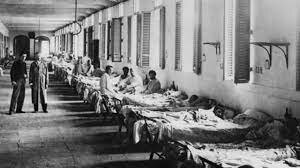 aparición de la fiebre amarilla