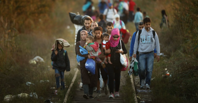 Causas de las migraciones