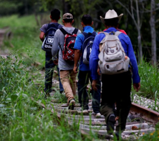 Edad de los migrantes