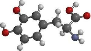 Los primeros aminoacidos