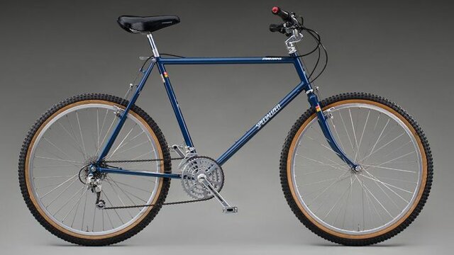 Bicicleta de montaña