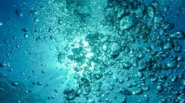 Timeline: I Masters - Erikson Timeline PSY A150